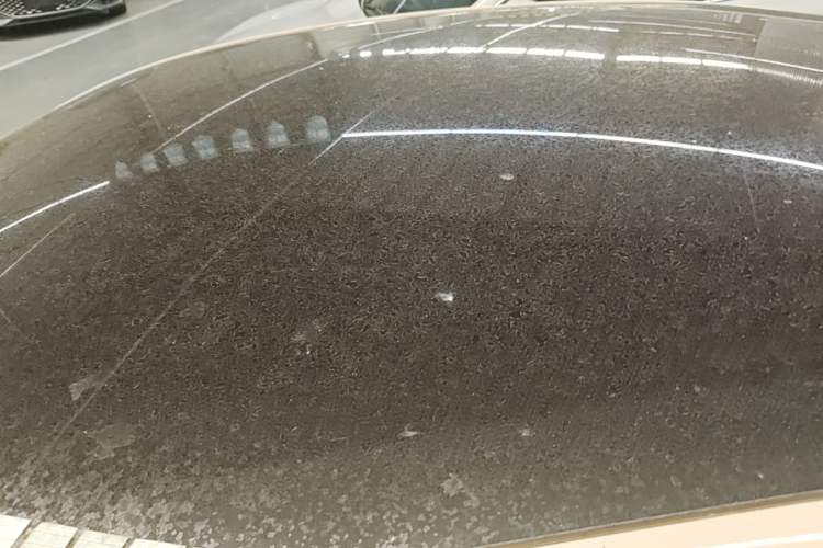 Used XPeng MONA M03 2025 515 Long-Range Plus Roof