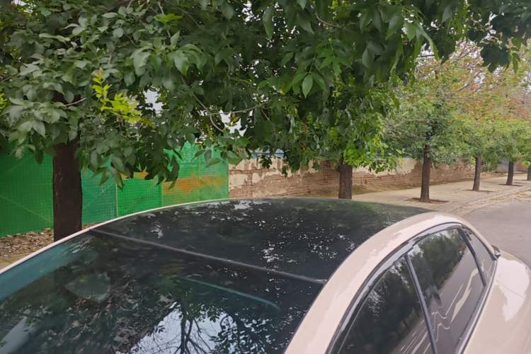 Used XPeng MONA M03 2025 600 with Ultra-Long Range Max Roof