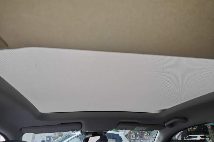 Used XPeng P5 2021 460G+ Headliner