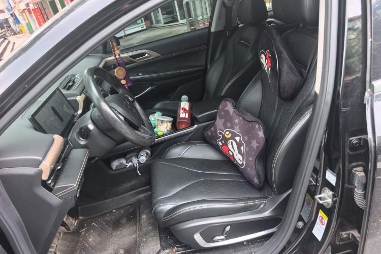Used XPeng P5 2021 460E Left Front Seat