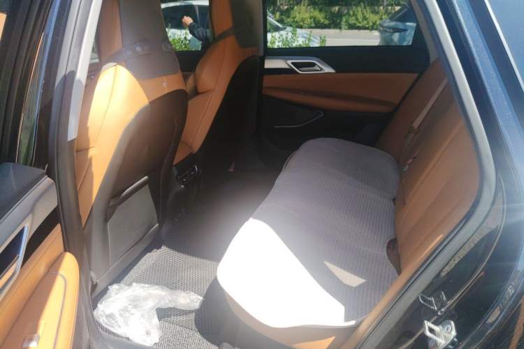 Used XPeng P5 2021 550E Left Rear Seat