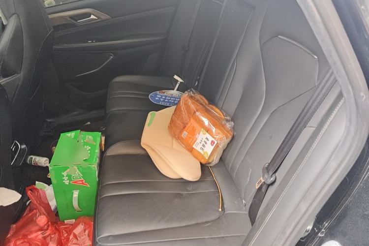 Used XPeng P5 2021 460G+ Left Rear Seat