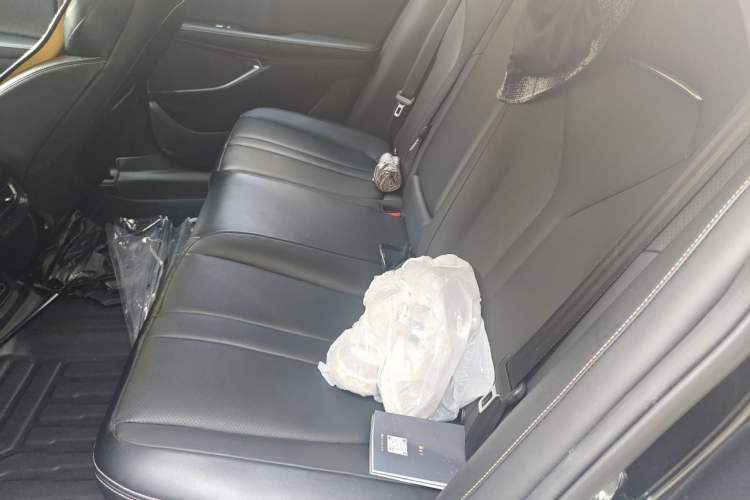 Used XPeng P5 2021 460G+ Left Rear Seat