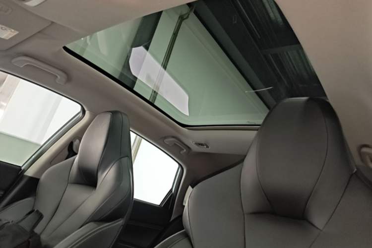 Used XPeng P5 2021 550G Headliner