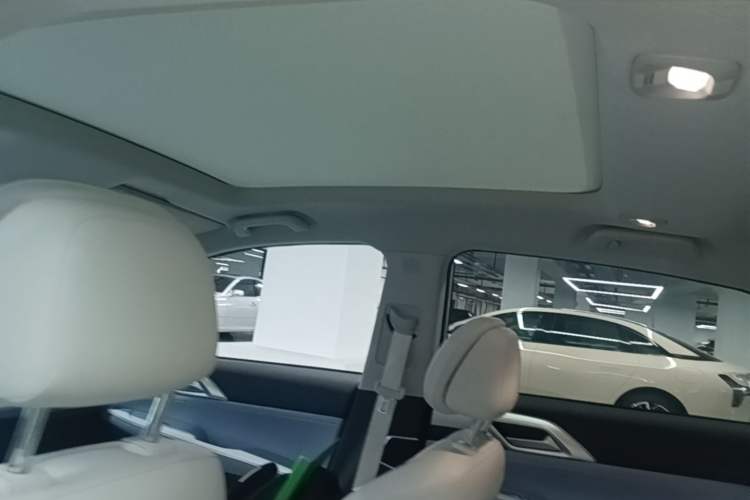 Used XPeng P5 2021 550P Headliner