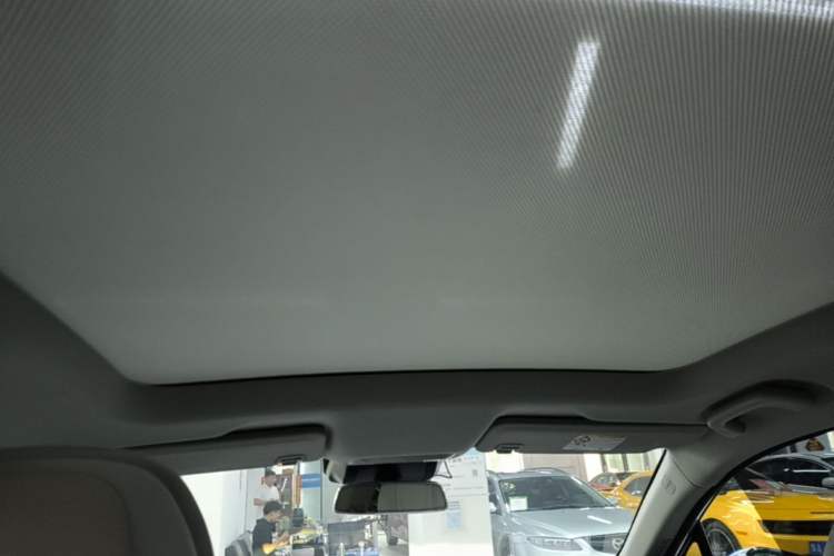 Used XPeng P5 2021 550E Headliner
