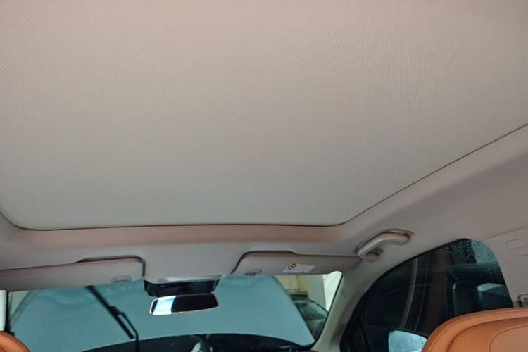 Used XPeng P5 2021 550E Headliner