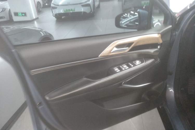 Used XPeng P5 2021 460G+ Left Front Door Interior