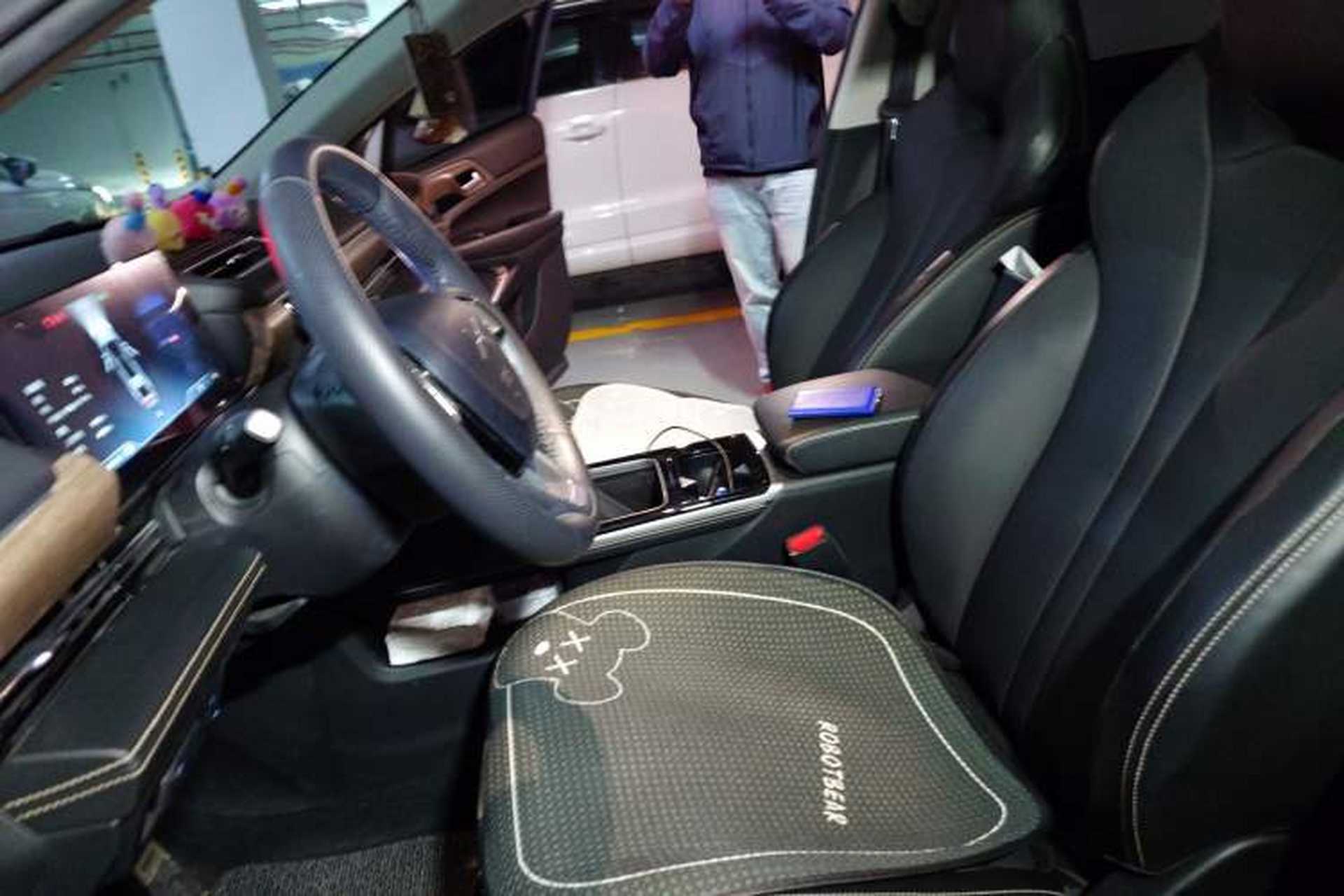 Used XPeng P5 2021 550G Left Front Seat