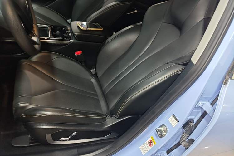 Used XPeng P5 2021 550G Left Front Seat