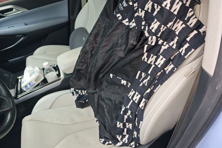 Used XPeng P5 2021 550P Left Front Seat