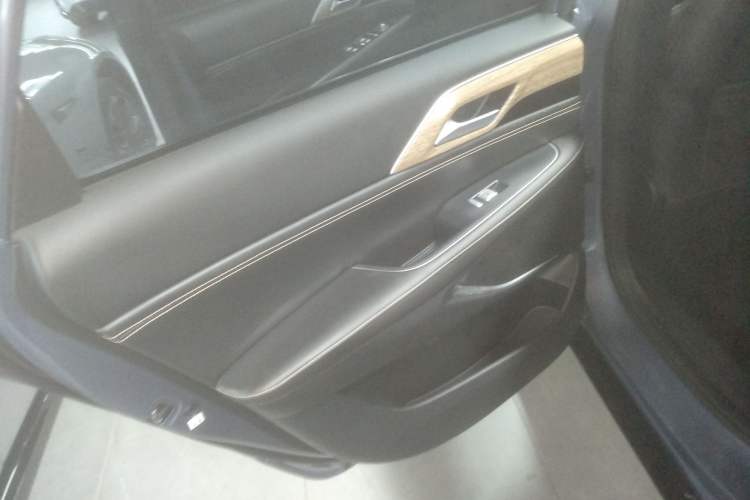 Used XPeng P5 2021 460G+ Left Rear Door Interior