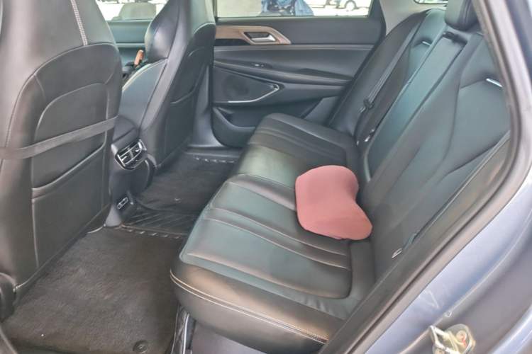 Used XPeng P5 2021 550G Left Rear Seat