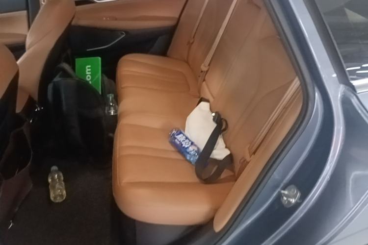 Used XPeng P5 2021 600P Left Rear Seat