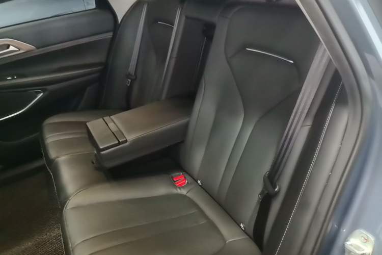 Used XPeng P5 2021 460G+ Left Rear Seat