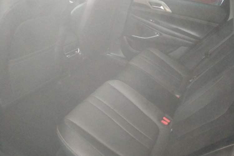 Used XPeng P5 2021 460G+ Left Rear Seat