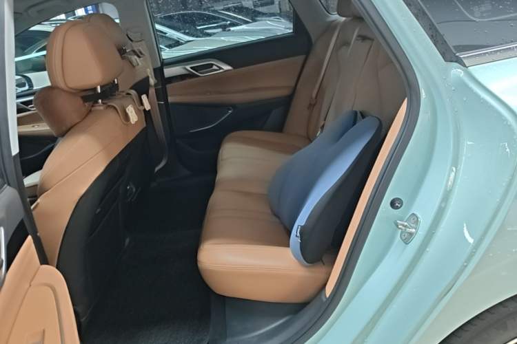 Used XPeng P5 2021 600P Left Rear Seat