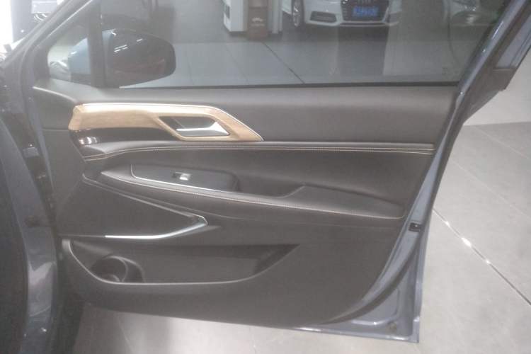 Used XPeng P5 2021 460G+ Right Front Door Interior