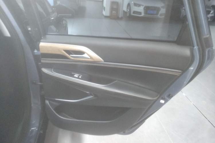 Used XPeng P5 2021 460G+ Right Rear Door Interior