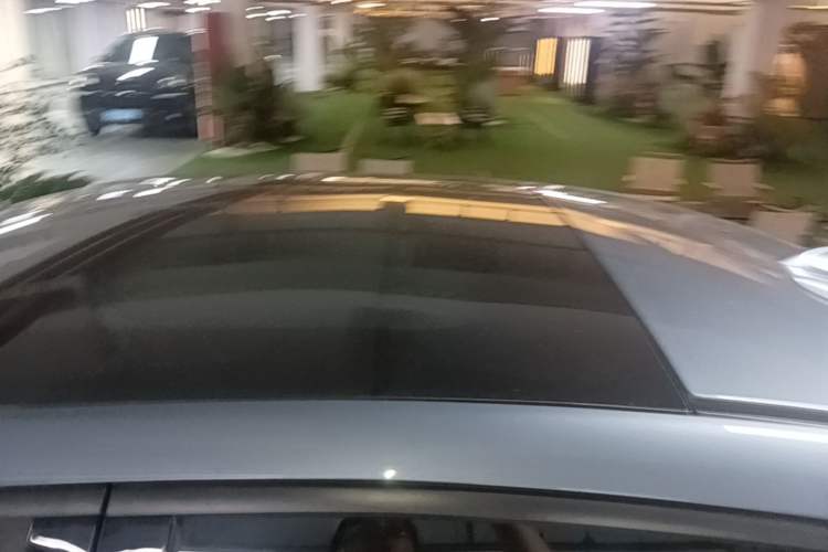 Used XPeng P5 2021 600P Roof