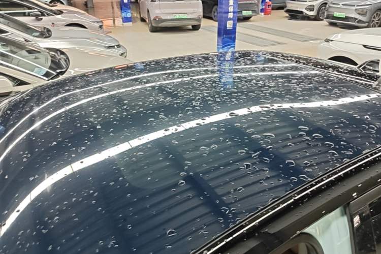 Used XPeng P5 2021 600P Roof