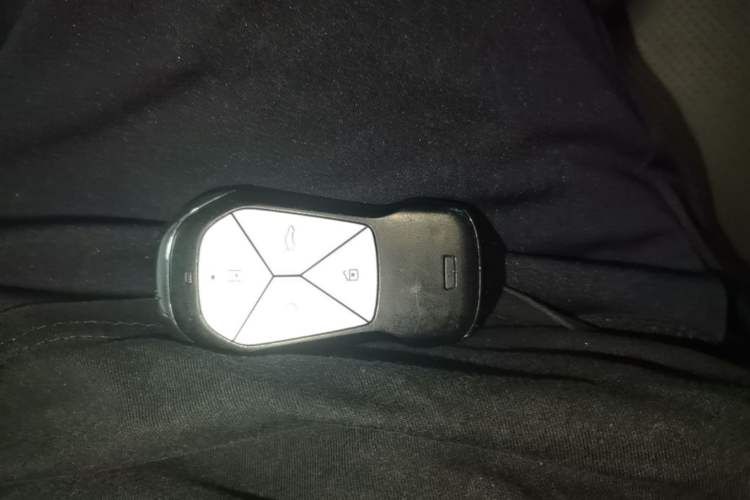 Used XPeng P5 2021 460G+ Vehicle Key