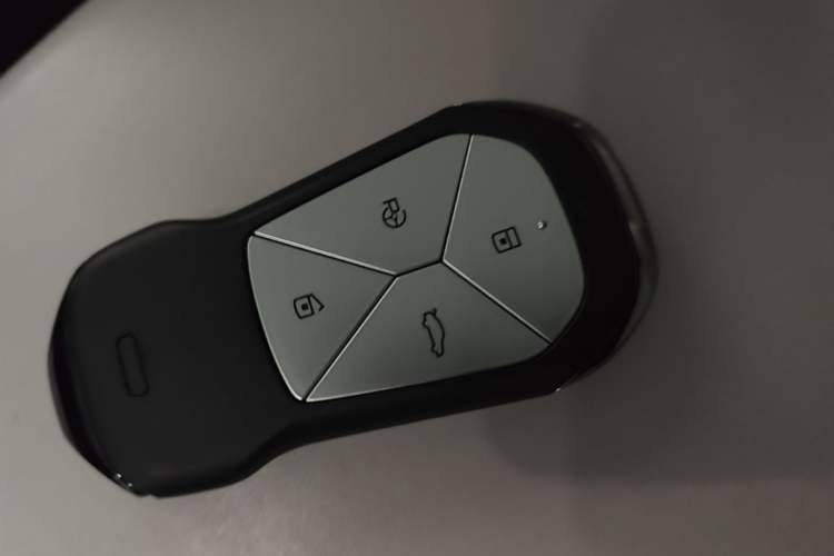 Used XPeng P5 2021 460G Vehicle Key