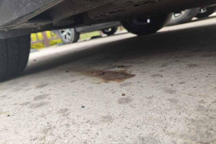 Used XPeng P5 2021 460G Chassis Rear Right