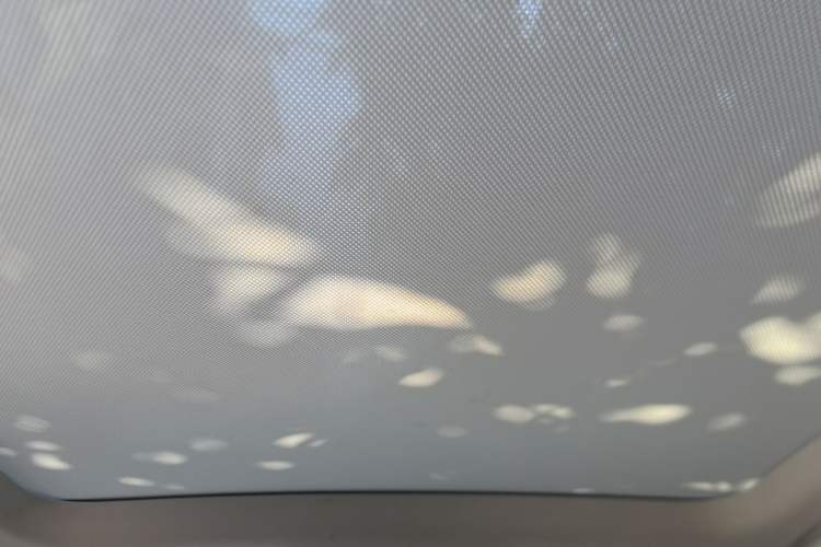 Used XPeng P5 2021 460E Headliner