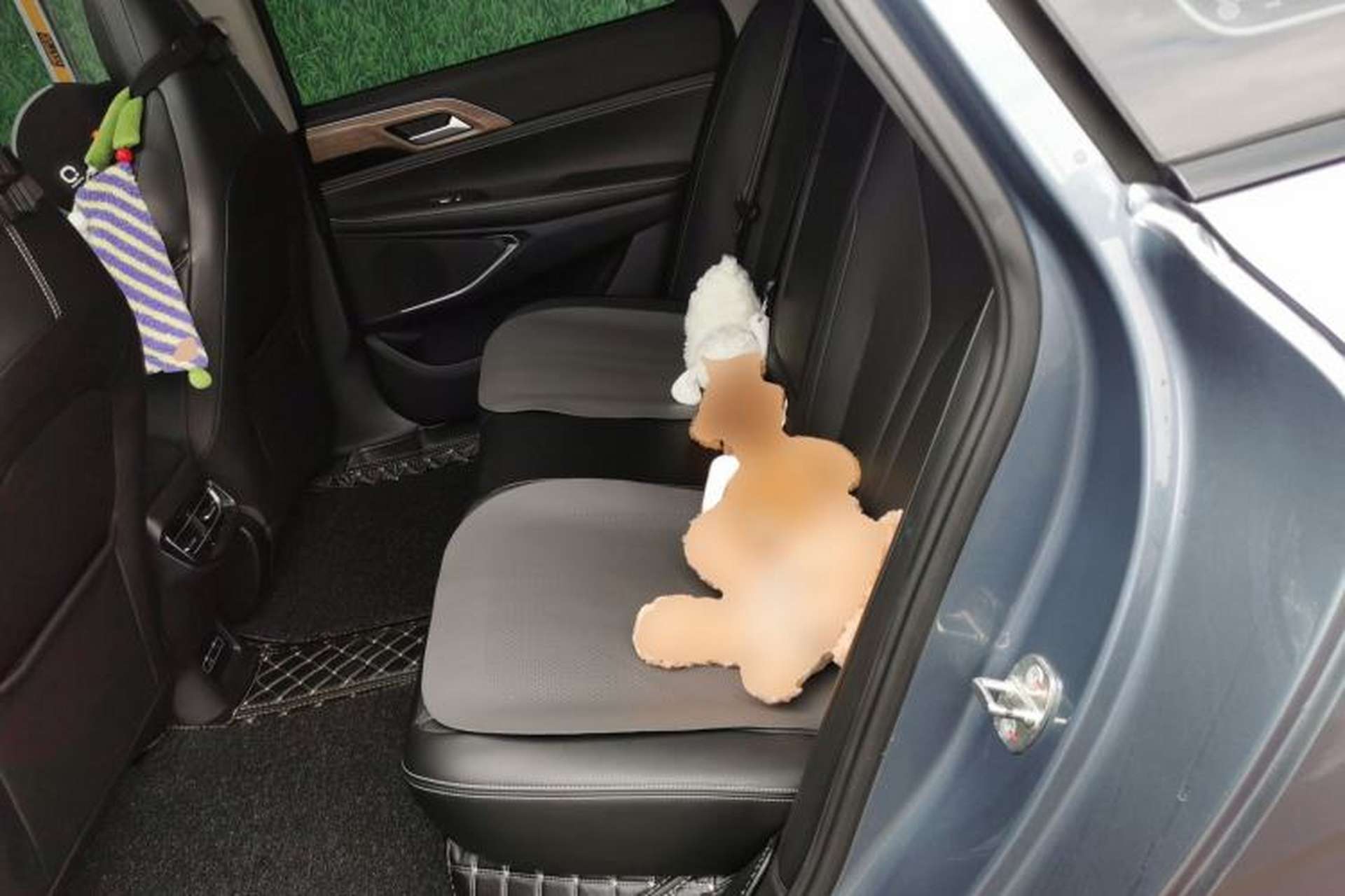 Used XPeng P5 2021 460G+ Left Rear Seat