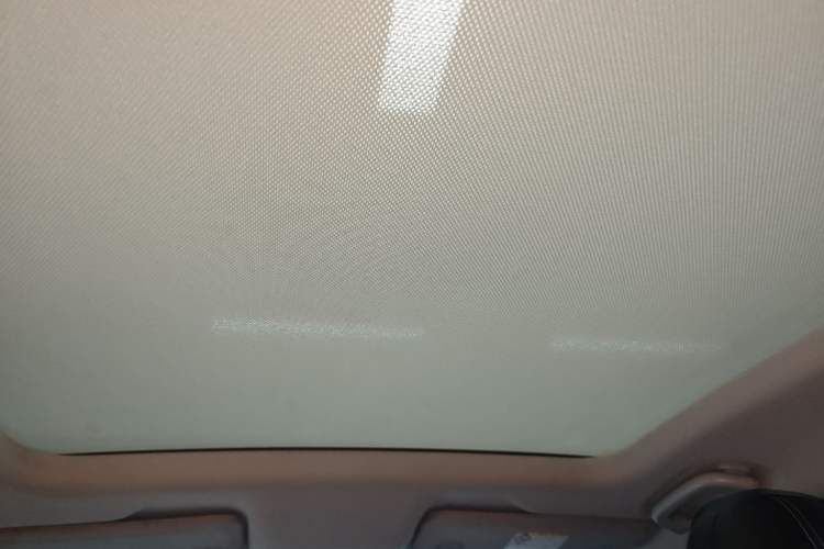 Used XPeng P5 2021 460G+ Headliner