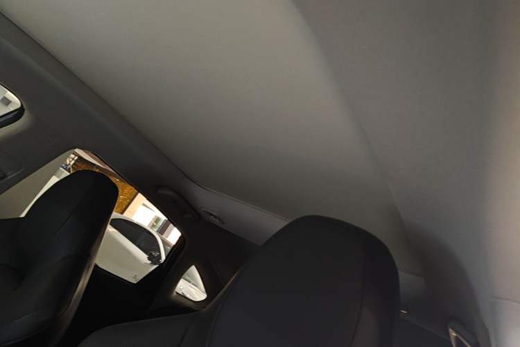 Used XPeng P5 2021 550G Headliner