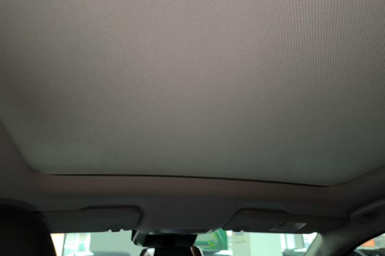Used XPeng P5 2021 460G+ Headliner