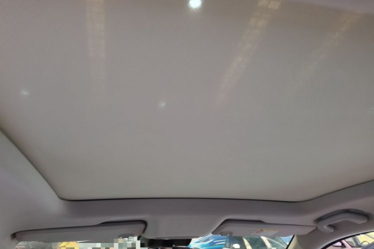 Used XPeng P5 2021 550P Headliner