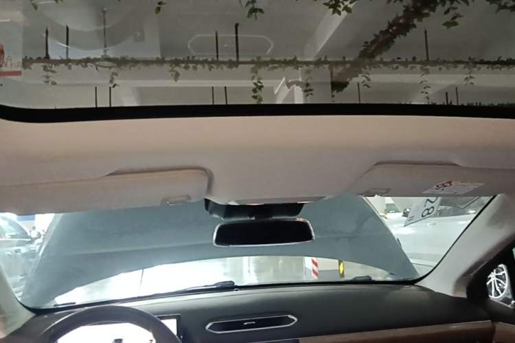 Used XPeng P5 2021 550G Headliner
