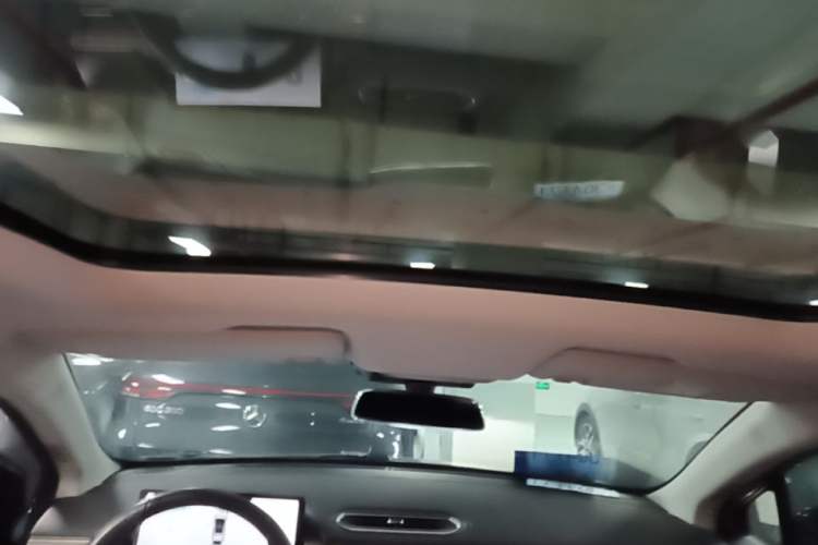 Used XPeng P5 2021 550G Headliner