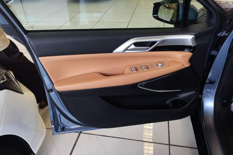 Used XPeng P5 2021 550P Left Front Door Interior