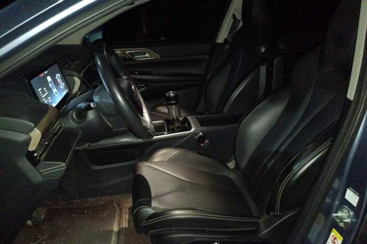 Used XPeng P5 2021 460G+ Left Front Seat