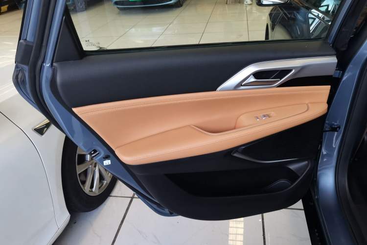 Used XPeng P5 2021 550P Left Rear Door Interior