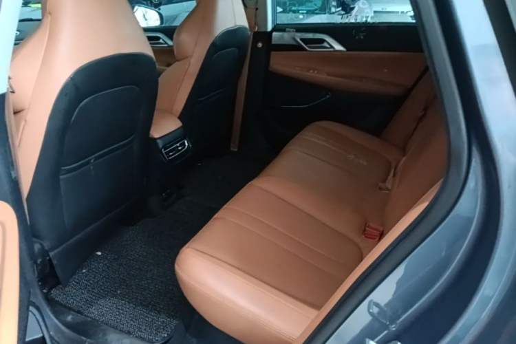 Used XPeng P5 2021 550E Left Rear Seat