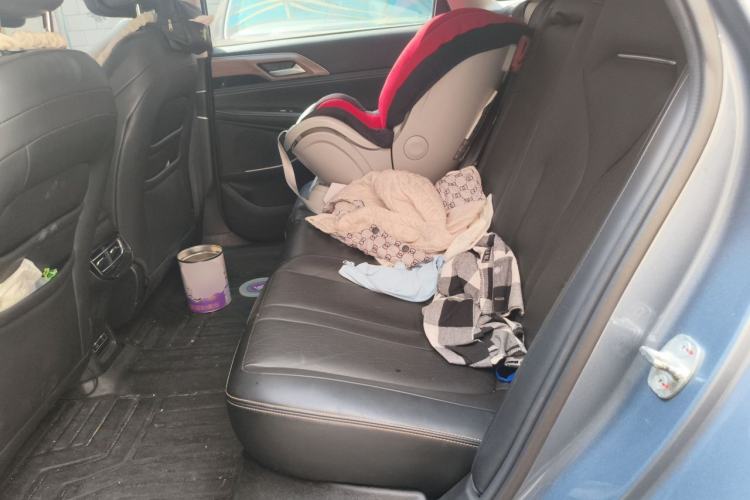 Used XPeng P5 2021 600P Left Rear Seat