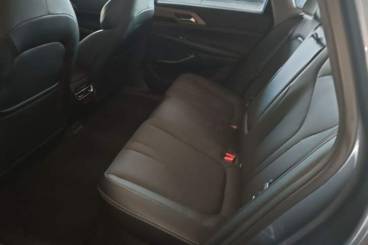 Used XPeng P5 2021 460G+ Left Rear Seat