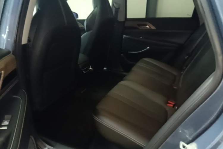 Used XPeng P5 2021 550G Left Rear Seat
