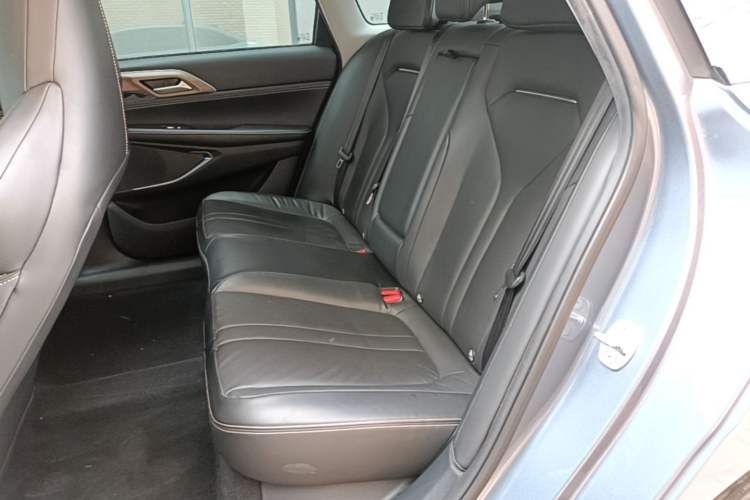 Used XPeng P5 2021 460G+ Left Rear Seat