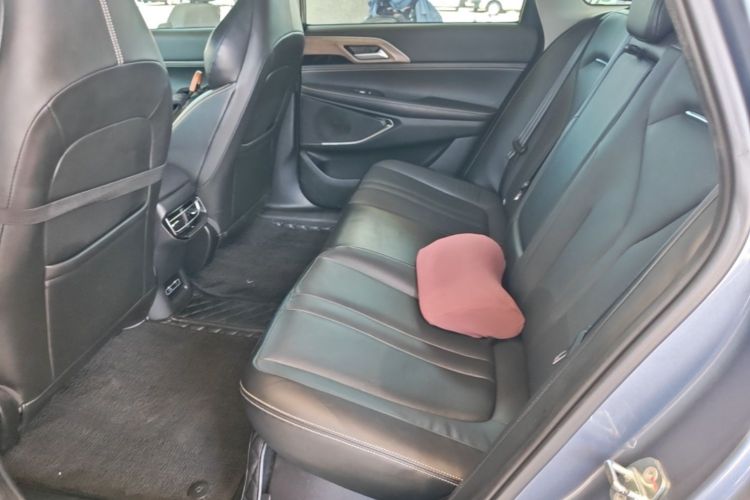 Used XPeng P5 2021 550G Left Rear Seat