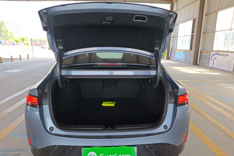 Used XPeng P5 2021 460G+ Trunk