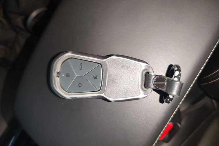 Used XPeng P5 2021 550G Vehicle Key