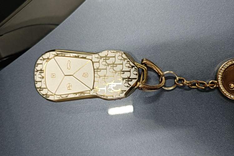 Used XPeng P5 2021 550G Vehicle Key