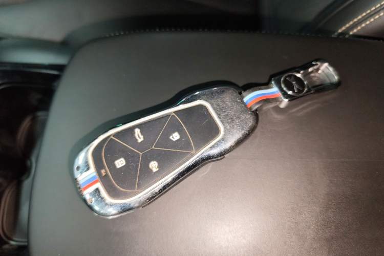 Used XPeng P5 2021 600P Vehicle Key