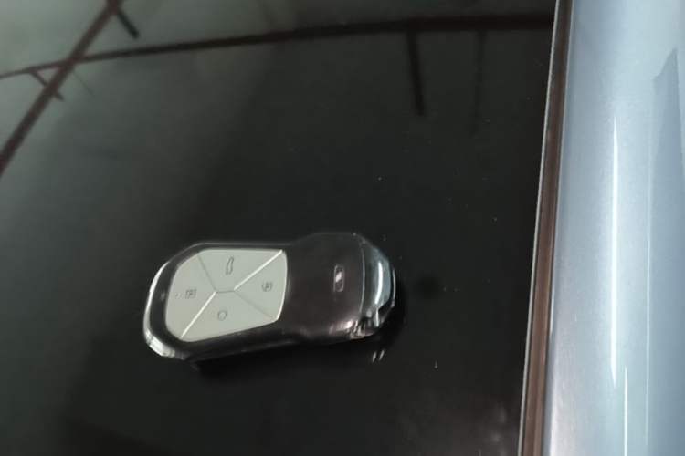 Used XPeng P5 2021 550G Vehicle Key